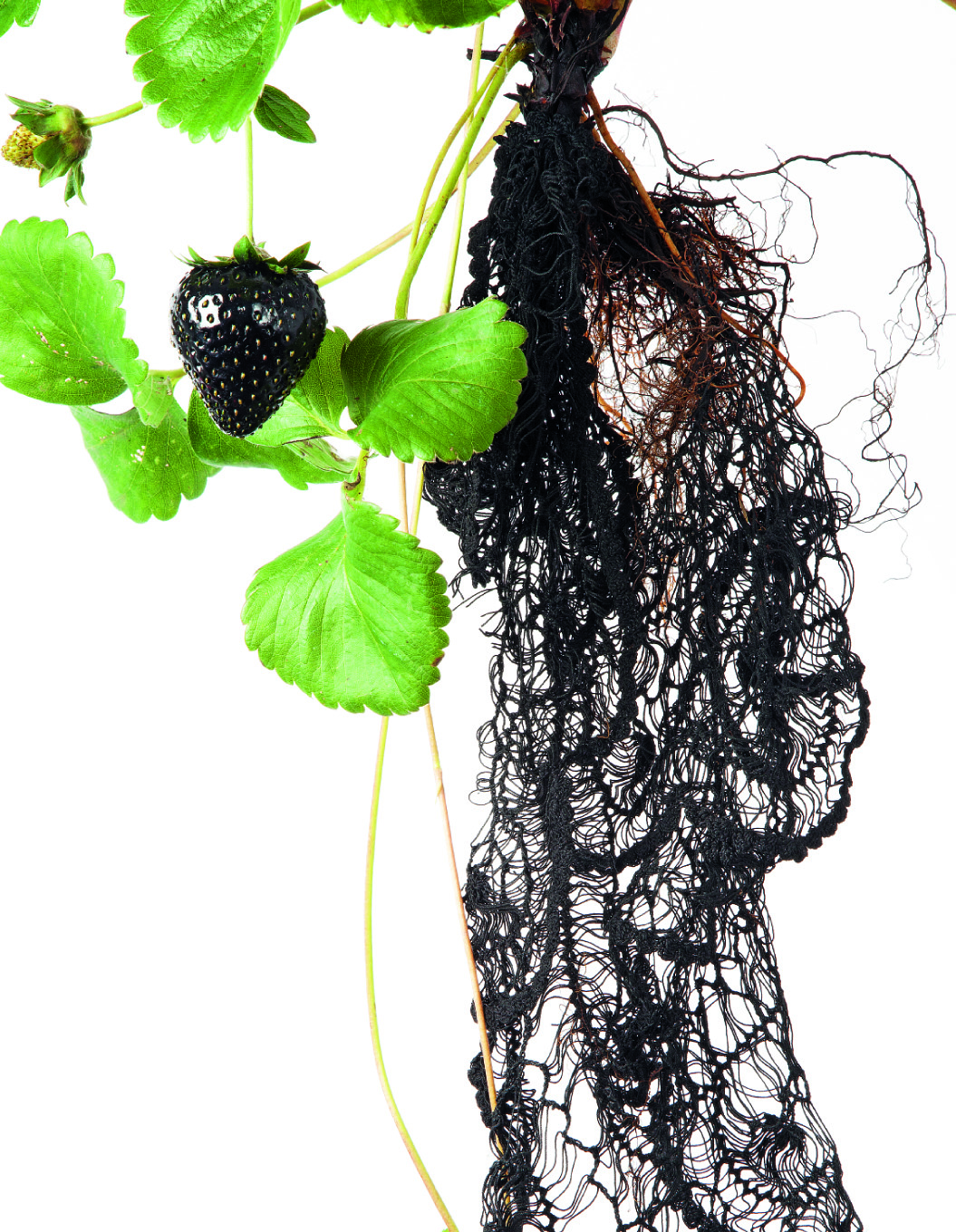 ht_trends_engineer_nature_1